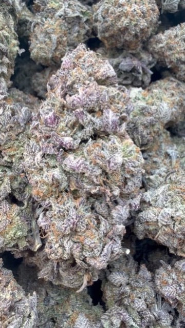 Platinum Berry Indoor - Bulk - Hybrid