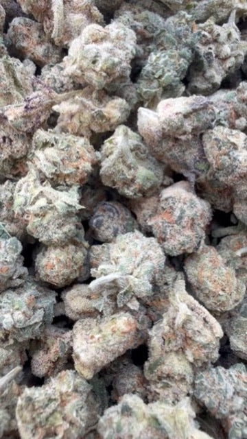 Citrus Skunk Minis - Bulk Minis - Hybrid