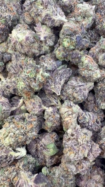 Black Cherry Runtz Indoor Minis - Bulk Minis - Indica