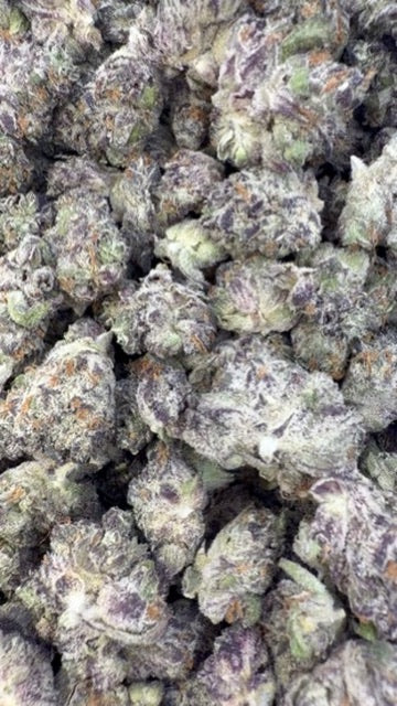 Grape Gas Indoor Minis - Bulk Minis - Hybrid