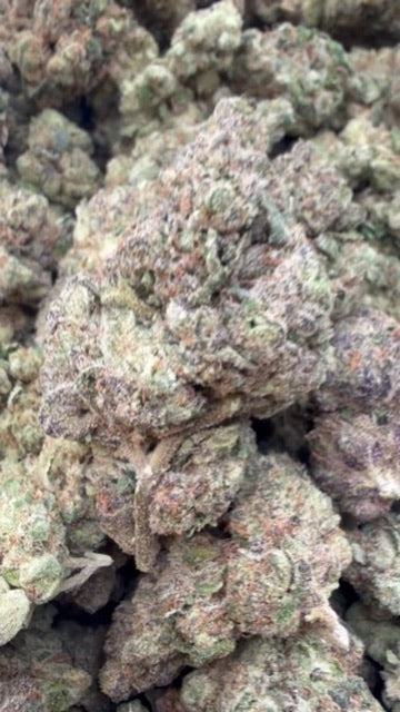 Bubble Yum - Bulk- Hybrid