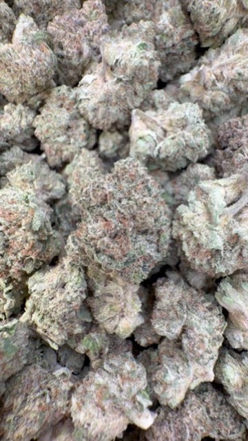 London Pound Cake 97 - Bulk - Indica