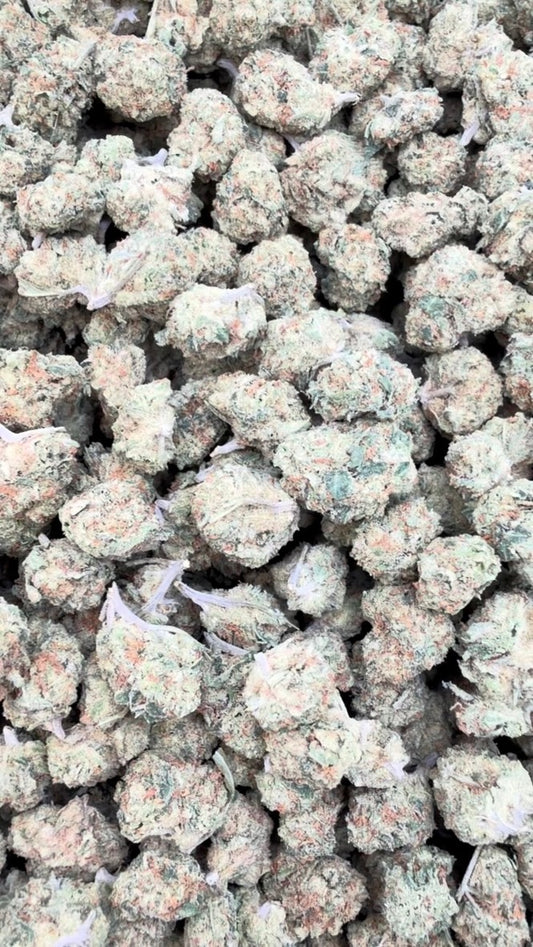 Cookie Crumble Minis - Bulk Minis - Hybrid