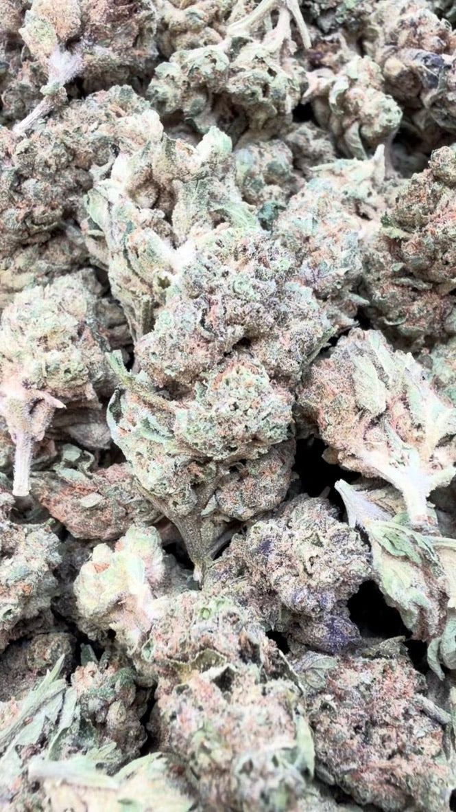 Hella Jelly - Bulk  - Sativa