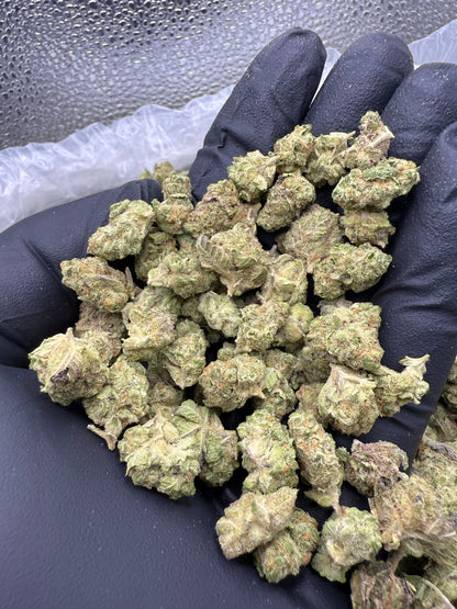 Dip N' Stix Minis - Bulk Minis - Hybrid