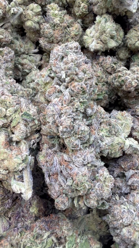 Pink Zlushie - Bulk - Hybrid