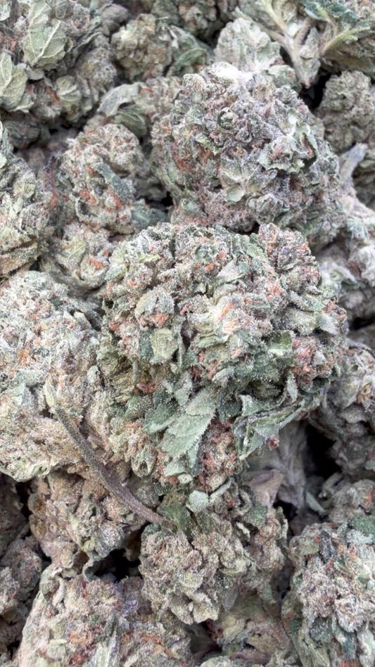 Grape Gas - Bulk - Hybrid