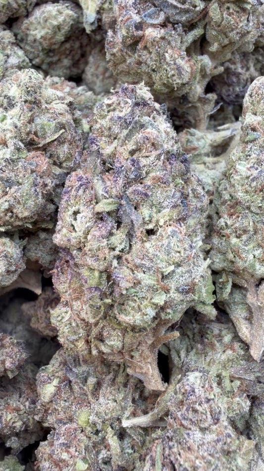 White Gushers - Bulk - (Hybrid)