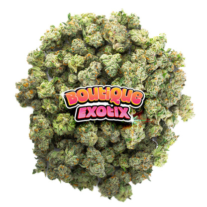 Boutique Exotics - Obama Runtz - 28 Grams - Hybrid