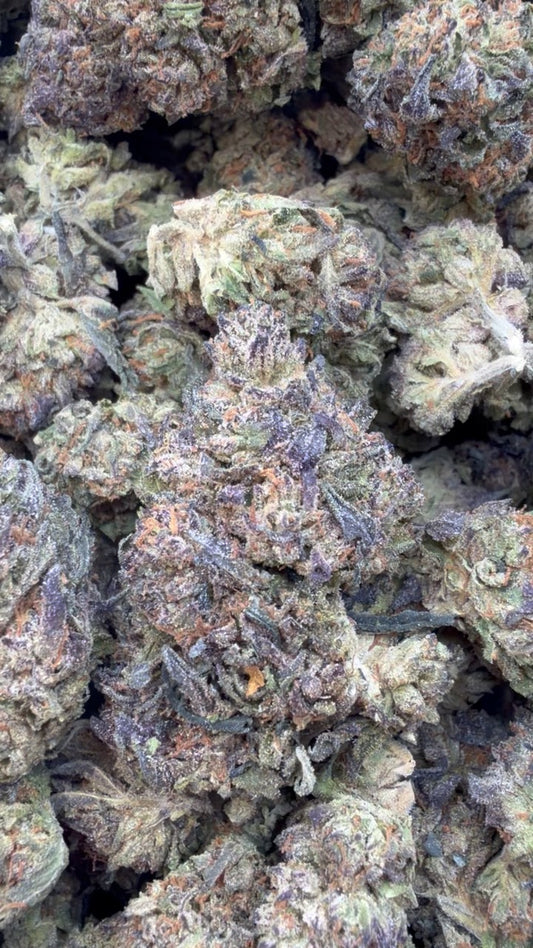 Cereal Milk - Bulk - Hybrid