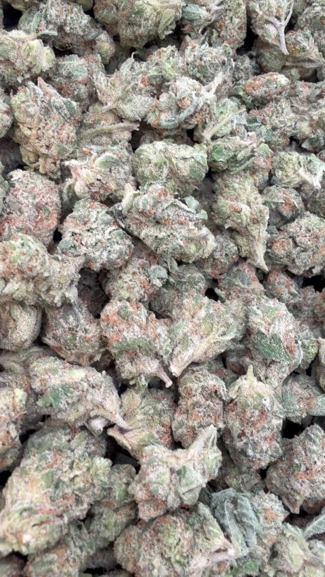 Space Runtz Minis - Bulk Minis - Hybrid