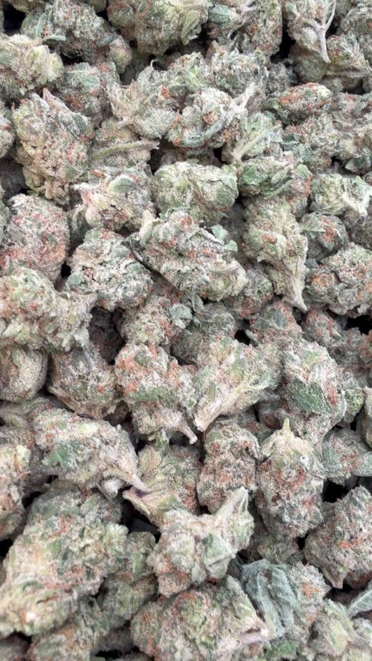 Space Runtz Minis - Bulk Minis - Hybrid