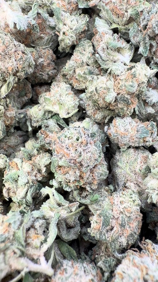Blueberry Pancakes Indoor Minis - Bulk Minis - Indica