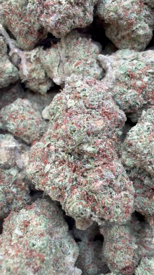 Cheesecake- Bulk - Indica