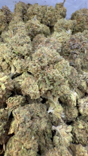 Zoapz - Bulk - Hybrid