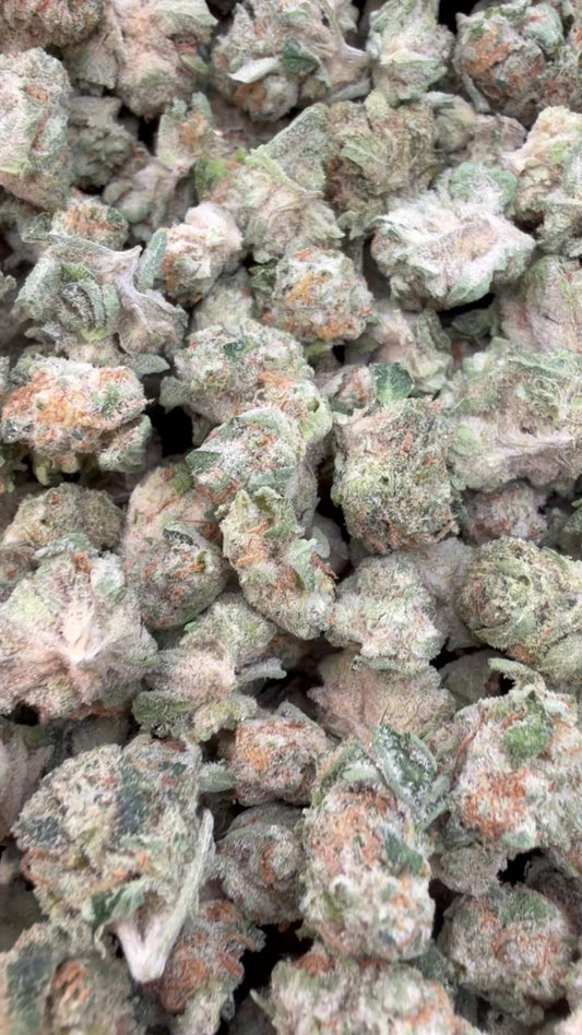 Northern Lights Minis - Bulk Minis - Indica