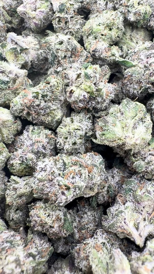 Red Runtz Indoor Minis - Bulk Minis - Indica
