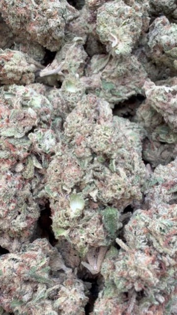 Sour Apple - Bulk - Hybrid