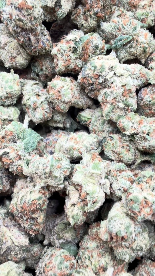 Gelonade Indoor Minis - Bulk Minis - Sativa