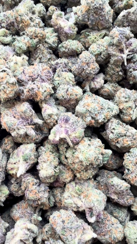 Boutique Exotics Coffin Candy Minis - Bulk Minis - Hybrid