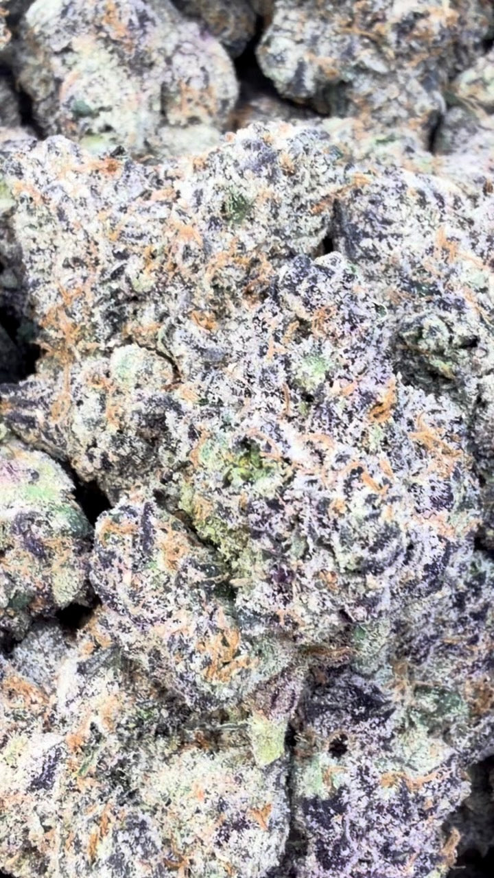 Frozen Black Cherry Indoor - Bulk - Hybrid