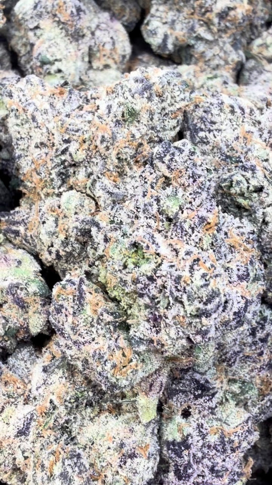 Frozen Black Cherry Indoor - Bulk - Hybrid