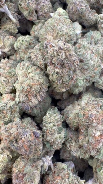 Gas Candy Indoor Minis - Bulk Minis - Hybrid