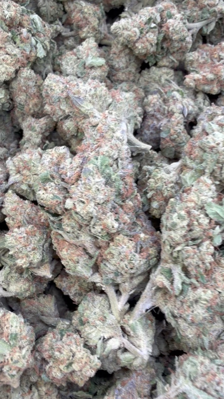 Chocolate Diesel - Bulk - Sativa