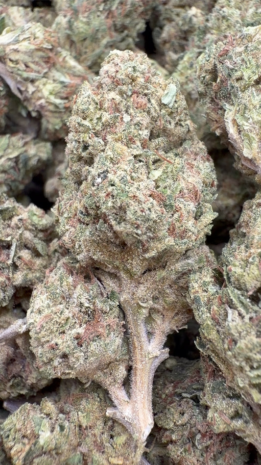 Sour OG - Bulk - Hybrid