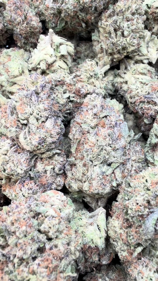 Ice Cream Cake - Bulk - Indica