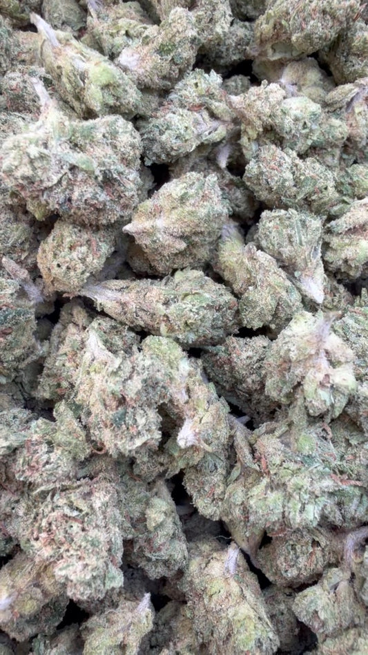 Lemon Fuel OG Minis - Bulk Minis - Hybrid