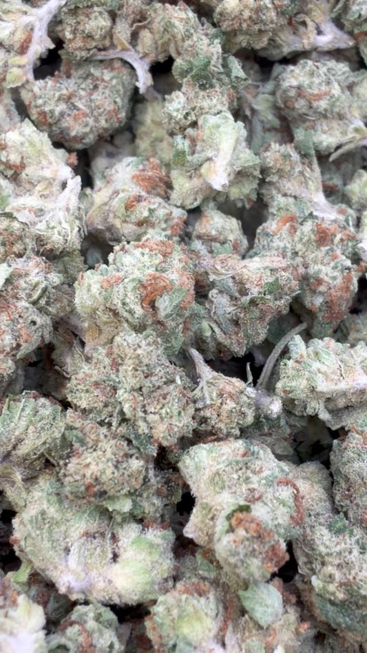 Purple Punch Minis - Bulk Minis - Indica