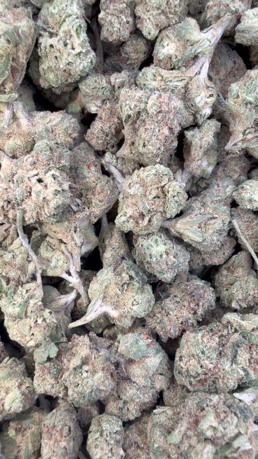 White Gelato Minis - Bulk Minis - Indica