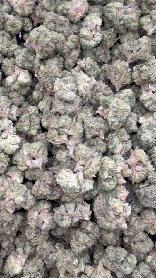 Sherblato Mediums - Bulk Mediums - Hybrid