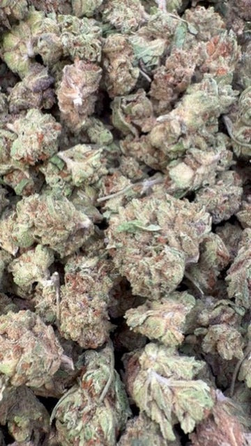 Bubba OG Minis - Bulk Minis - Indica