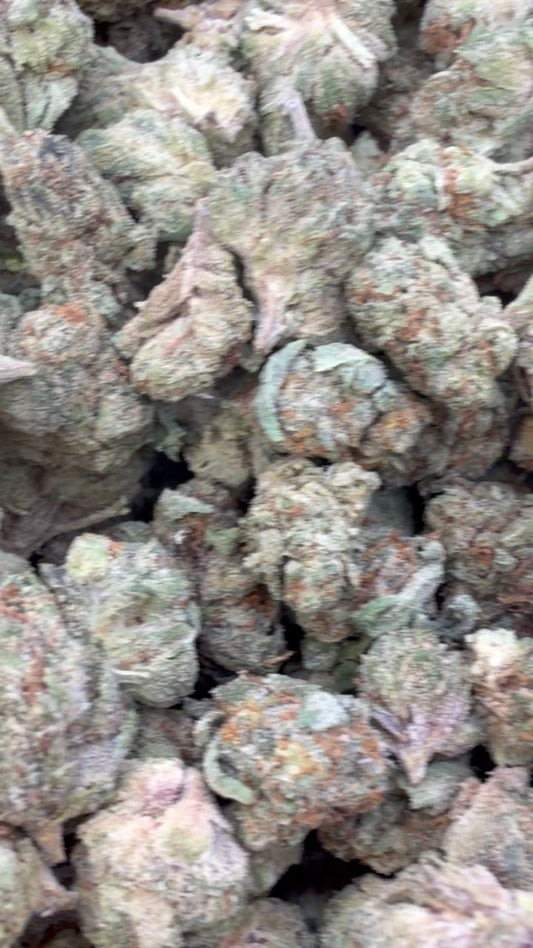 Triangle Kush Minis - Bulk Minis - Indica