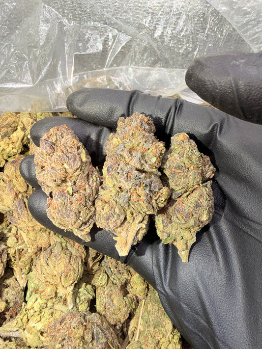 Double Runtz - Bulk - Hybrid