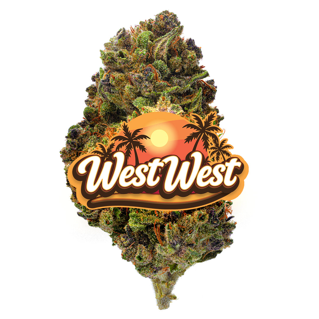 West West Brand - Donny Burger - 14 Grams - Indica