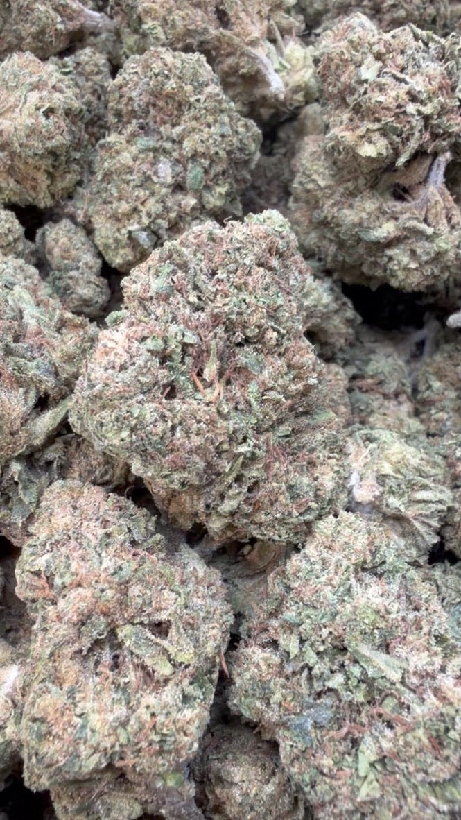 Lemon Cherry Biscotti - Bulk - Hybrid