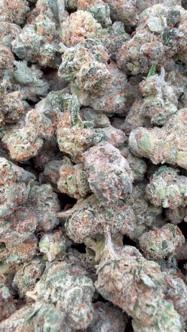 Sour OG Minis - Bulk Minis - Hybrid