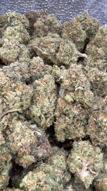 Pink Panties - Bulk - Indica