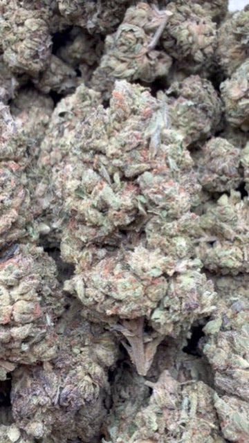 Modified Mintz - Bulk - Indica