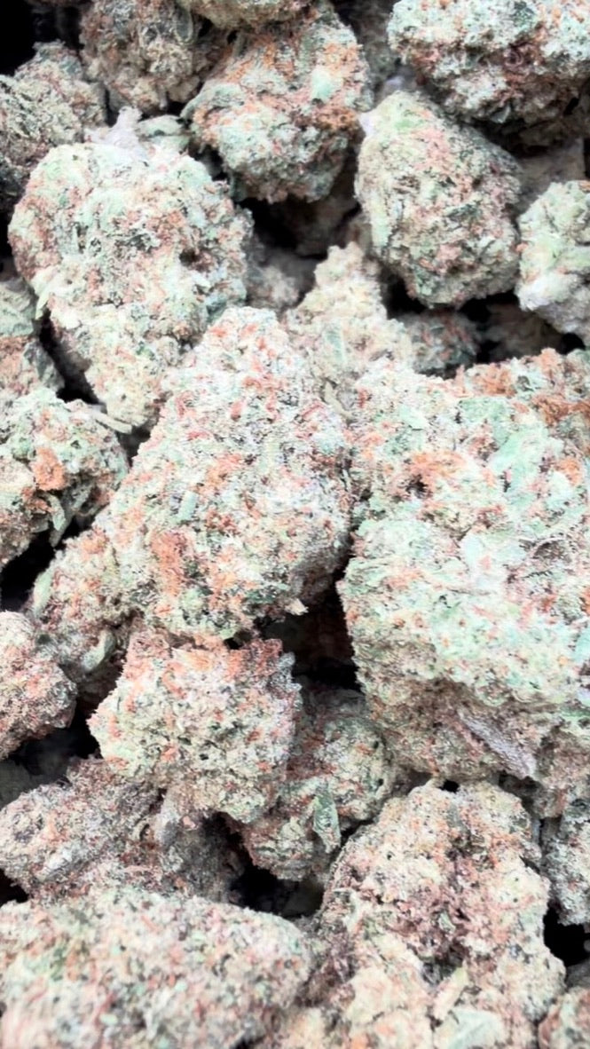 Apple Banana - Bulk - Hybrid