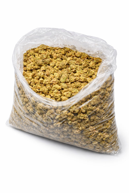 Snowman Minis - Bulk Minis - Hybrid