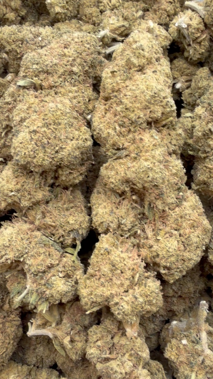 Acapulco Gold - Bulk - Sativa