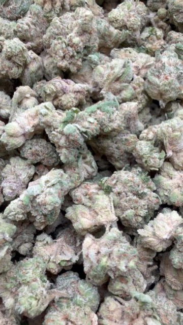 XJ 13 Minis - Bulk Minis - Sativa