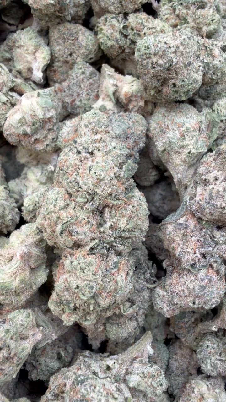 Donutz - Bulk - Indica