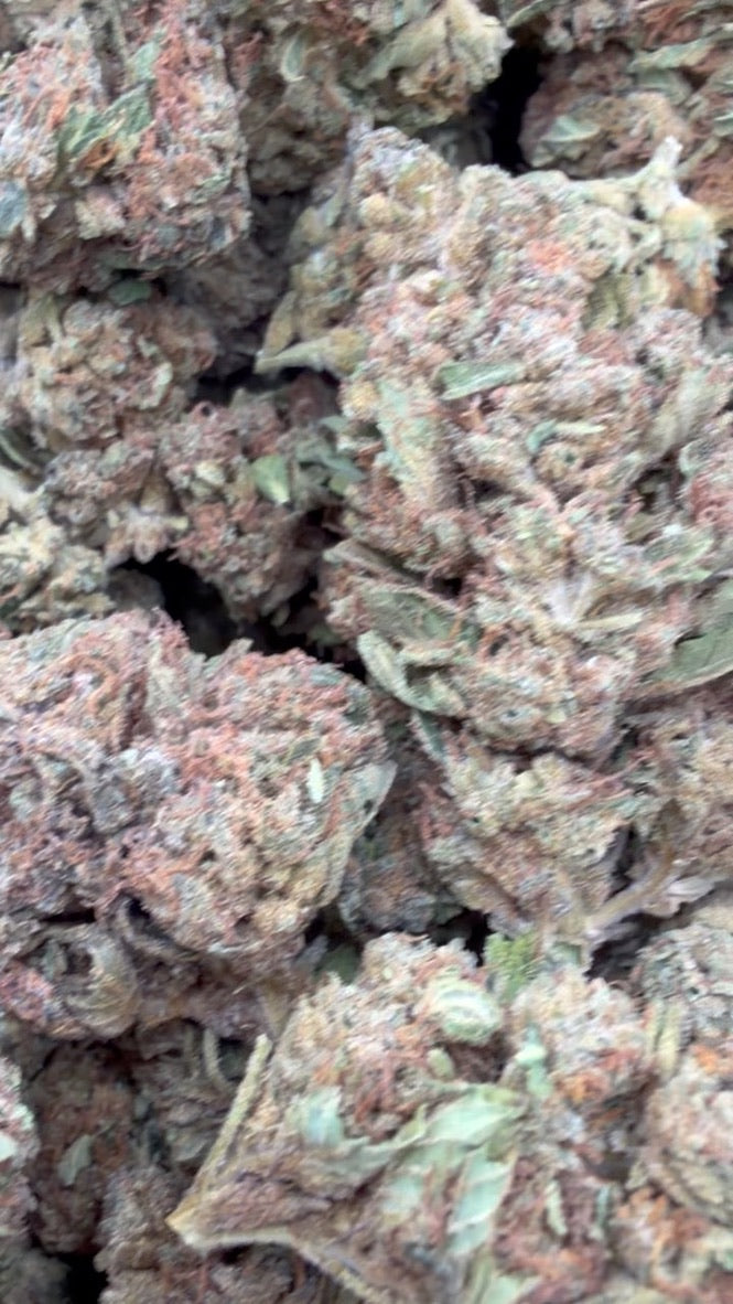 Trainwreck - Bulk - Hybrid