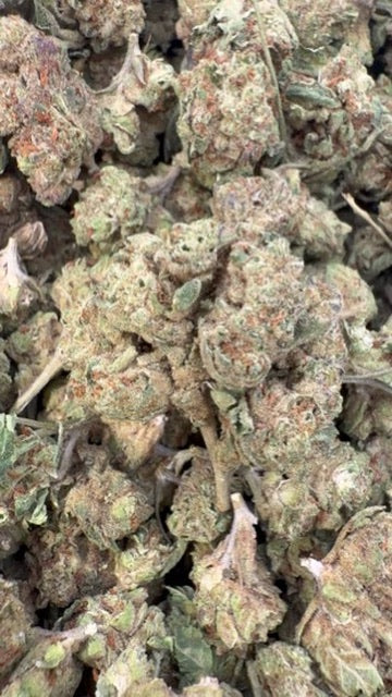 Fire OG Minis - Bulk Minis - Indica