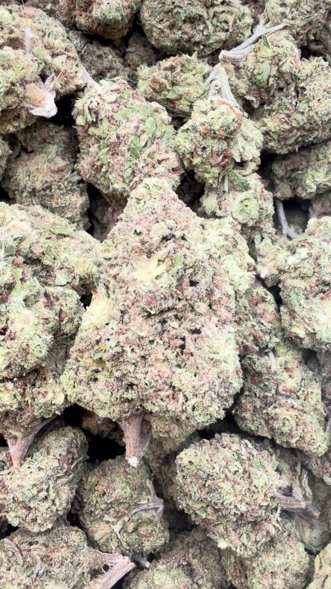 Beyond Blue Dream - Bulk - Sativa